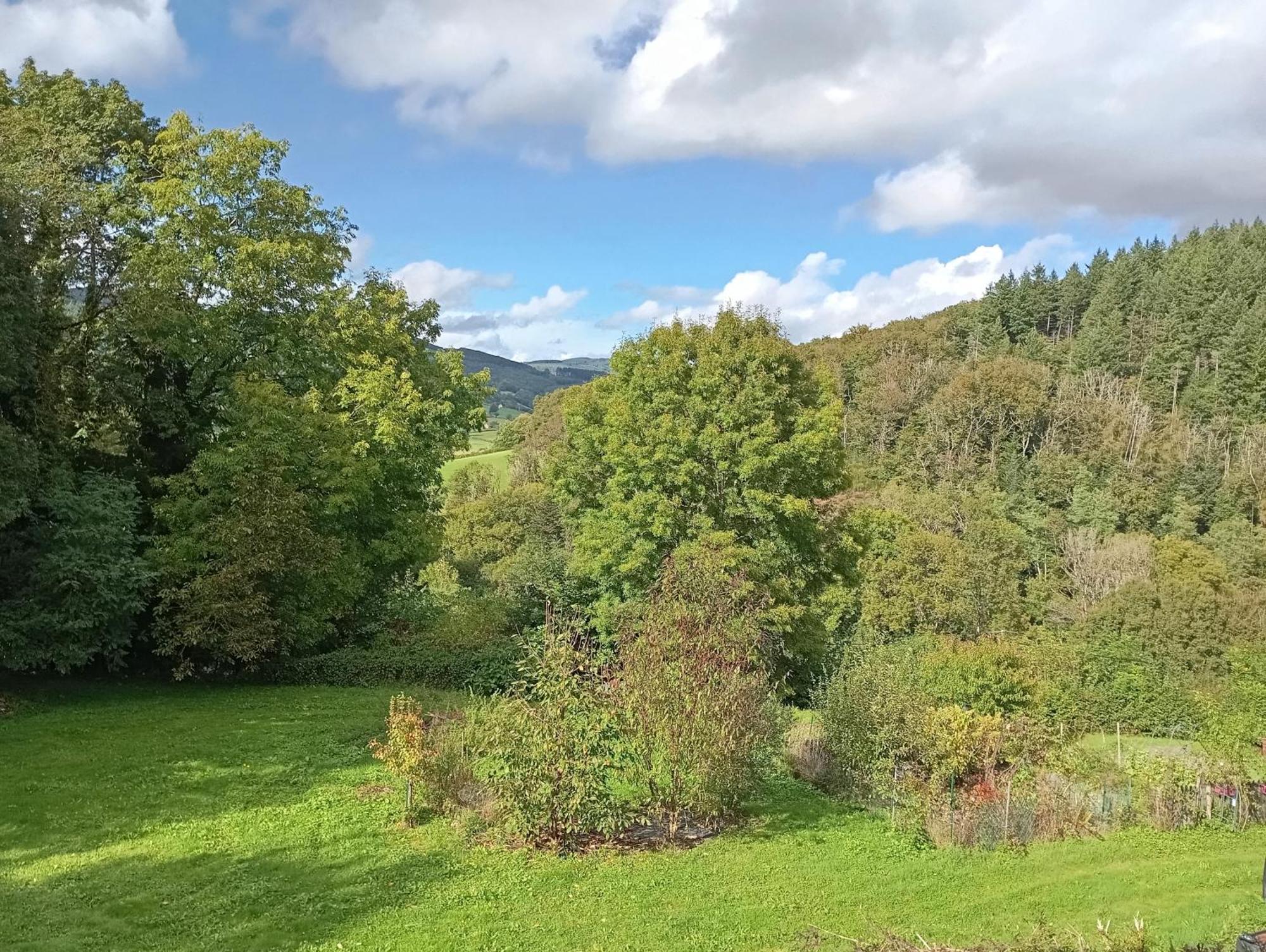 L' Ancienne Ecole Du Morvan Larochemillay Eksteriør billede